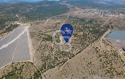 Aliağa Kalabak Mahallesi'nde 89 Dönüm Zeytinli Tarla