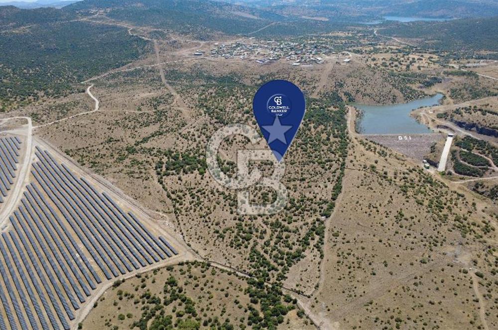 Aliağa Kalabak Mahallesi'nde 89 Dönüm Zeytinli Tarla