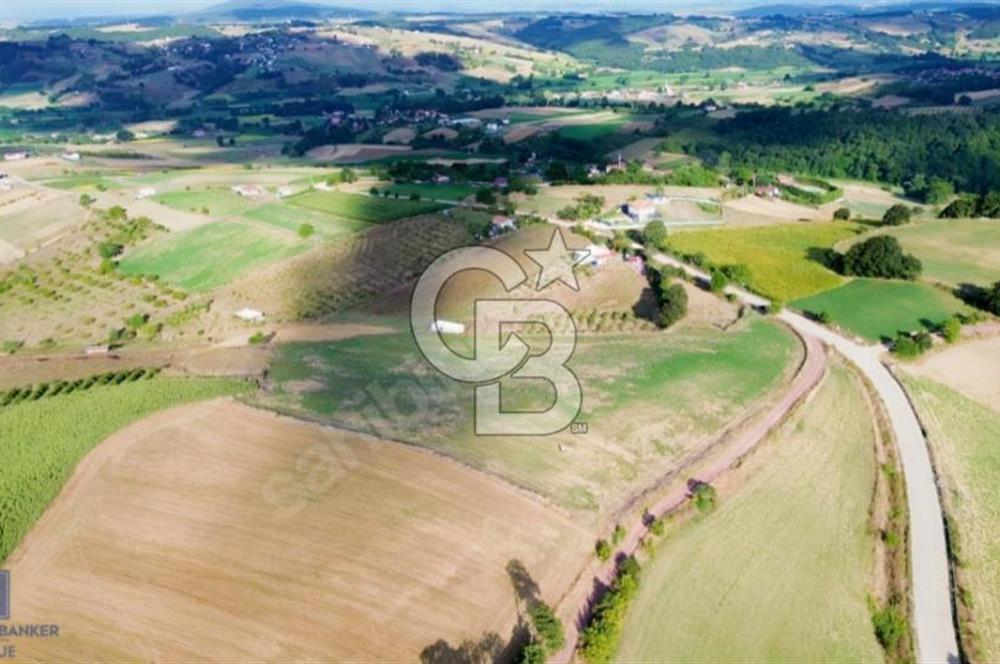 123METRE RESMİ YOLA CEPHELİ GÖL VE DOĞA MANZARALI RESMİ %5 İMAR 