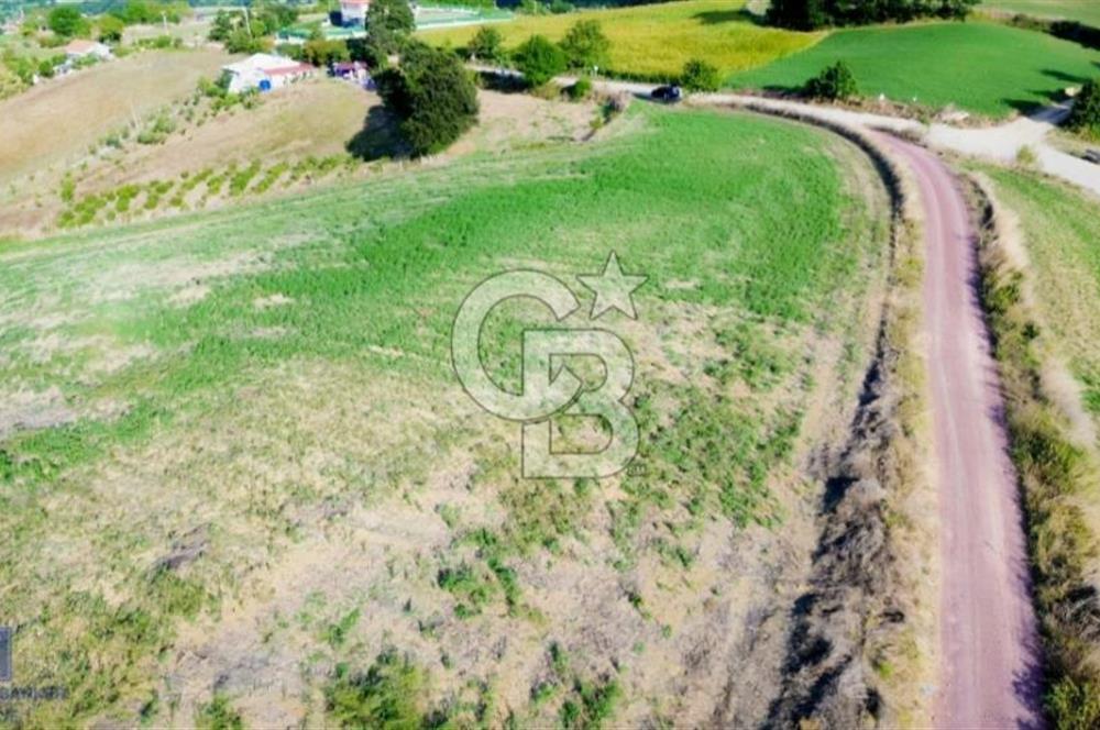 123METRE RESMİ YOLA CEPHELİ GÖL VE DOĞA MANZARALI RESMİ %5 İMAR 