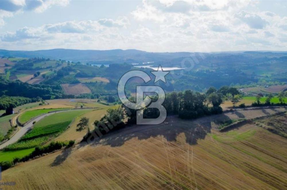 123METRE RESMİ YOLA CEPHELİ GÖL VE DOĞA MANZARALI RESMİ %5 İMAR 