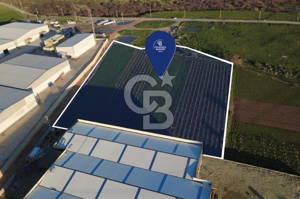 MENEMEN TÜRKELLİ'DE SATIILIK 15,300M2 TARIMSAL SANAYİ İMARLI
