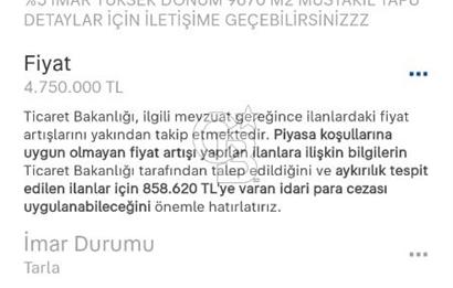GÖLPAZARI YENİPAZAR ANAYOLUNA CEPHELİ KÖY MÜCAVİR ALANINA 9670 M2