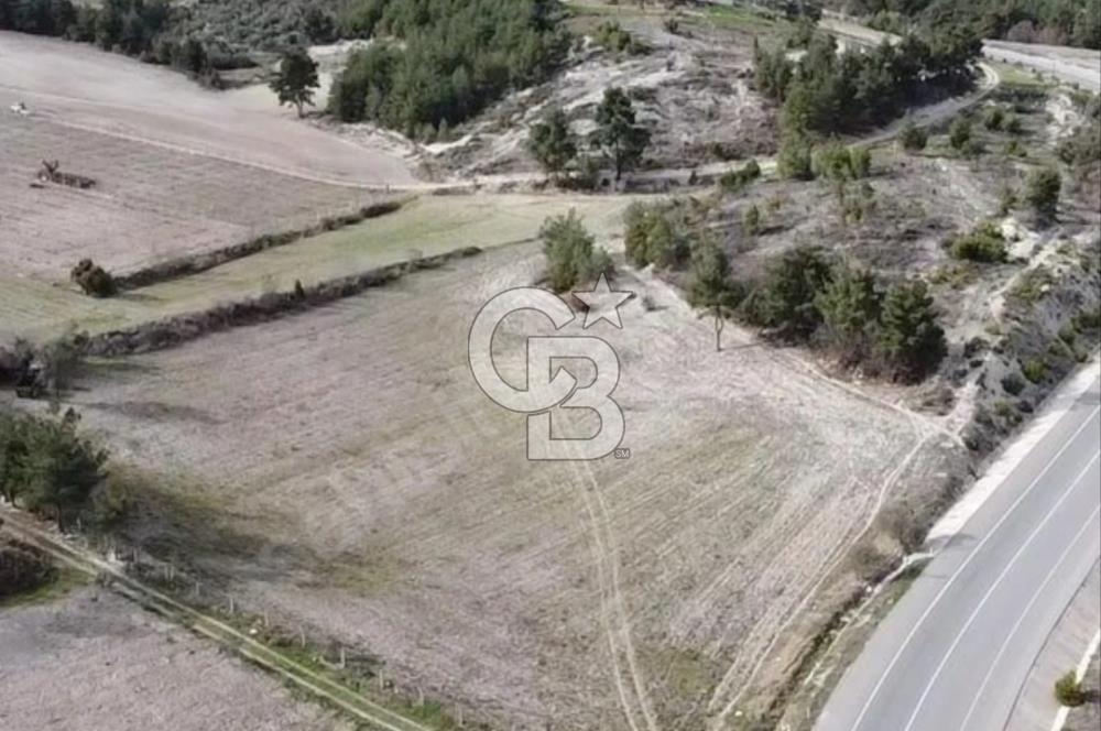 GÖLPAZARI YENİPAZAR ANAYOLUNA CEPHELİ KÖY MÜCAVİR ALANINA 9670 M2