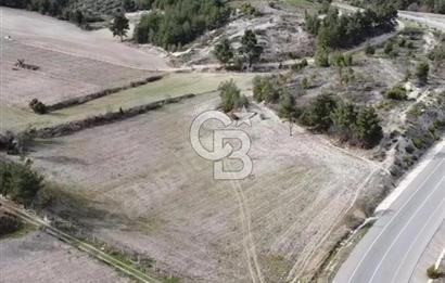 GÖLPAZARI YENİPAZAR ANAYOLUNA CEPHELİ KÖY MÜCAVİR ALANINA 9670 M2
