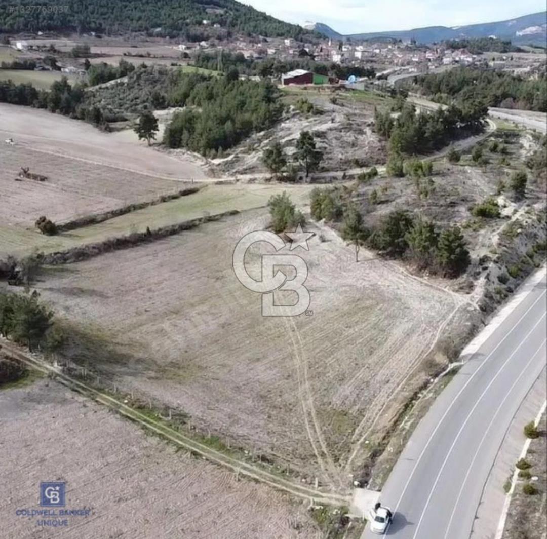 GÖLPAZARI YENİPAZAR ANAYOLUNA CEPHELİ KÖY MÜCAVİR ALANINA 9670 M2