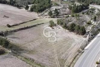 GÖLPAZARI YENİPAZAR ANAYOLUNA CEPHELİ KÖY MÜCAVİR ALANINA 9670 M2 - 1 - 370250