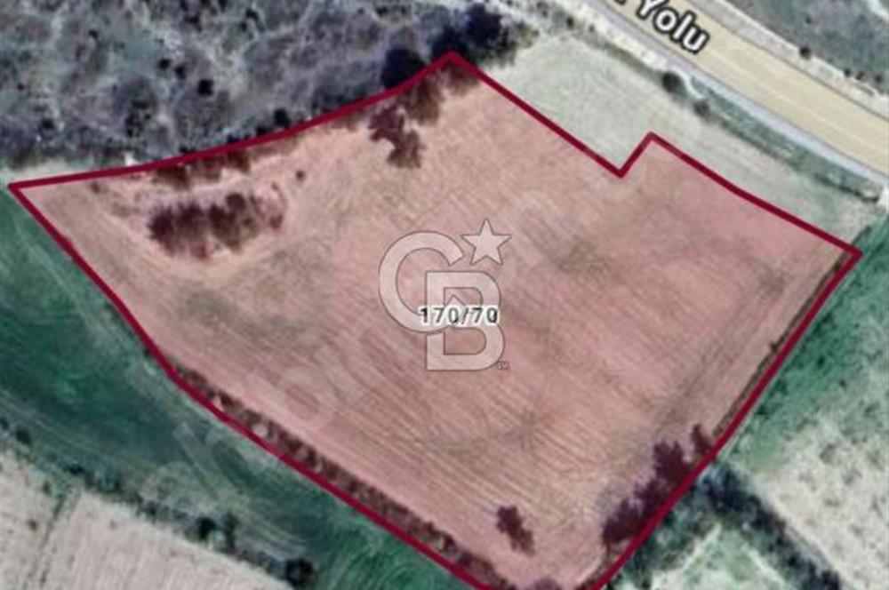 GÖLPAZARI YENİPAZAR ANAYOLUNA CEPHELİ KÖY MÜCAVİR ALANINA 9670 M2