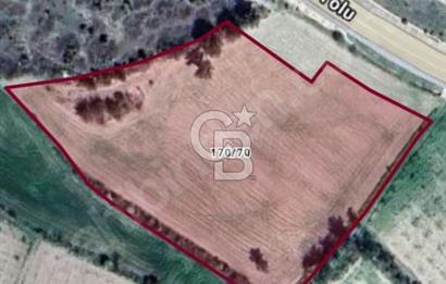GÖLPAZARI YENİPAZAR ANAYOLUNA CEPHELİ KÖY MÜCAVİR ALANINA 9670 M2