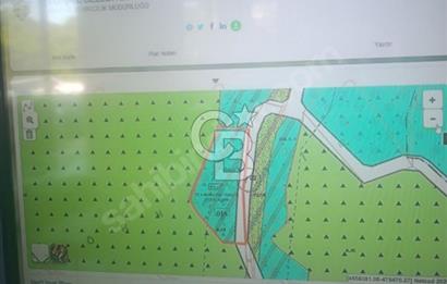 62 METRE RESMİ YOLA CEPJELE TT4 TURİZM İMARLI 