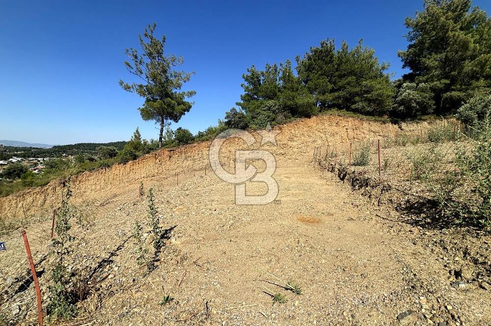 KEMALPAŞA SİNANCILAR'DA KÖYE YÜRÜME MESAFESİNDE 279 M2 TARLA