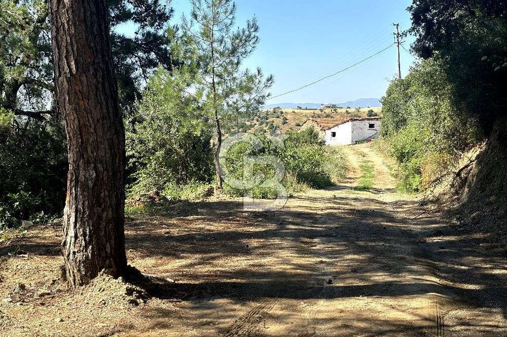 KEMALPAŞA SİNANCILAR'DA KÖYE YÜRÜME MESAFESİNDE 279 M2 TARLA