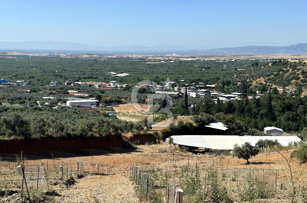 KEMALPAŞA SİNANCILAR'DA KÖYE YÜRÜME MESAFESİNDE 279 M2 TARLA