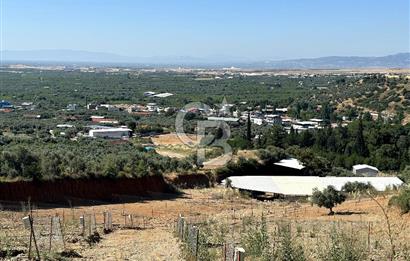 KEMALPAŞA SİNANCILAR'DA KÖYE YÜRÜME MESAFESİNDE 279 M2 TARLA