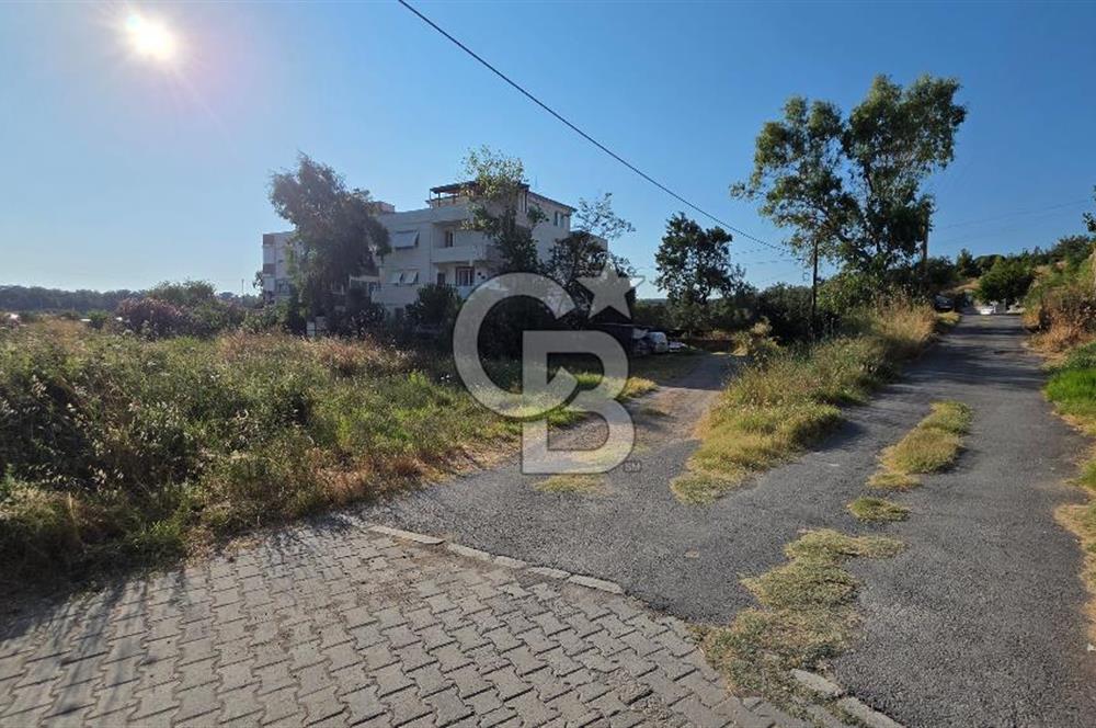 Ayvalık Badavut Sarımsak Mevkiinde 615 m² Satılık Arsa
