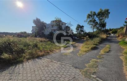 Ayvalık Badavut Sarımsak Mevkiinde 615 m² Satılık Arsa