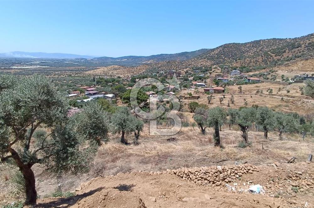 Bayındır Yeşilova Mah. Eski Çıplak Köyünde 2+1 Evi Olan Arsa