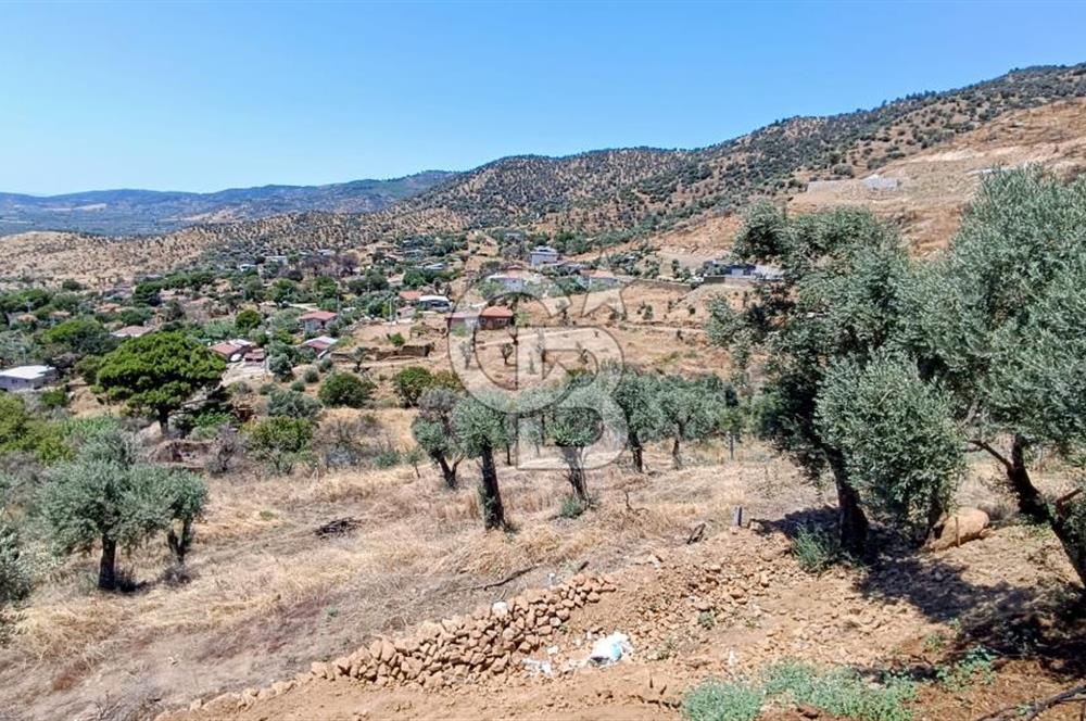 Bayındır Yeşilova Mah. Eski Çıplak Köyünde 2+1 Evi Olan Arsa