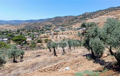 Bayındır Yeşilova Mah. Eski Çıplak Köyünde 2+1 Evi Olan Arsa