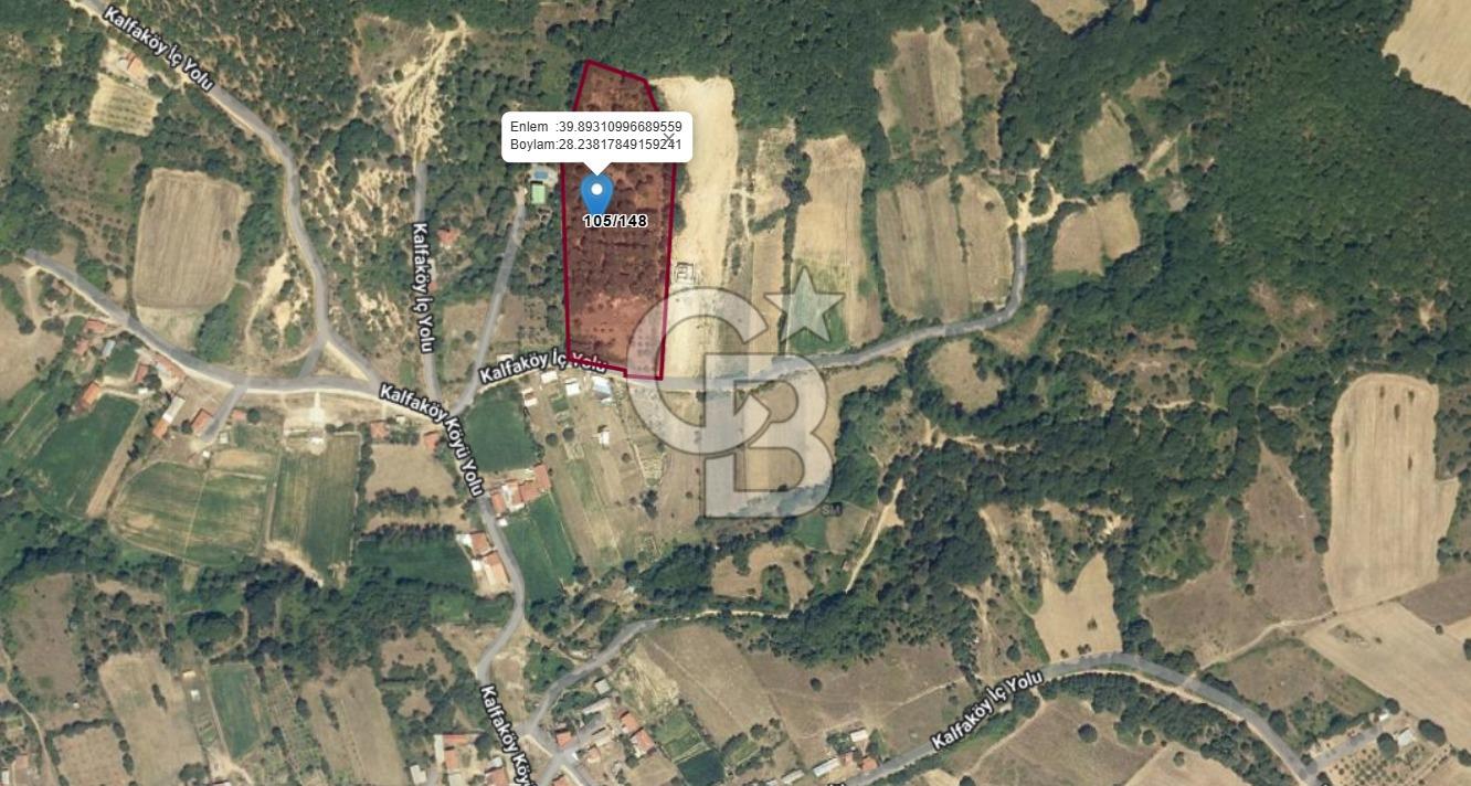 Susurluk Kalfaköyde Villalara Komşu 13 Dönüm Satılık Arazi