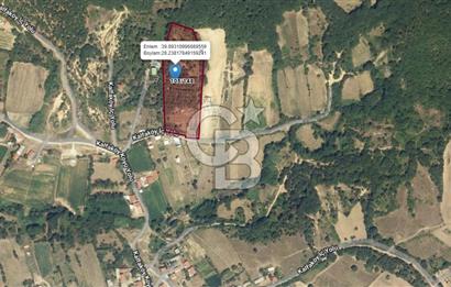 Susurluk Kalfaköyde Villalara Komşu 13 Dönüm Satılık Arazi