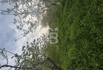 Bayramiç Örenli'de Altyapılı Satılık Yatırımlık Tarla - 6 - 370376