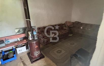 Bayramiç Örenli'de Altyapılı Satılık Yatırımlık Tarla