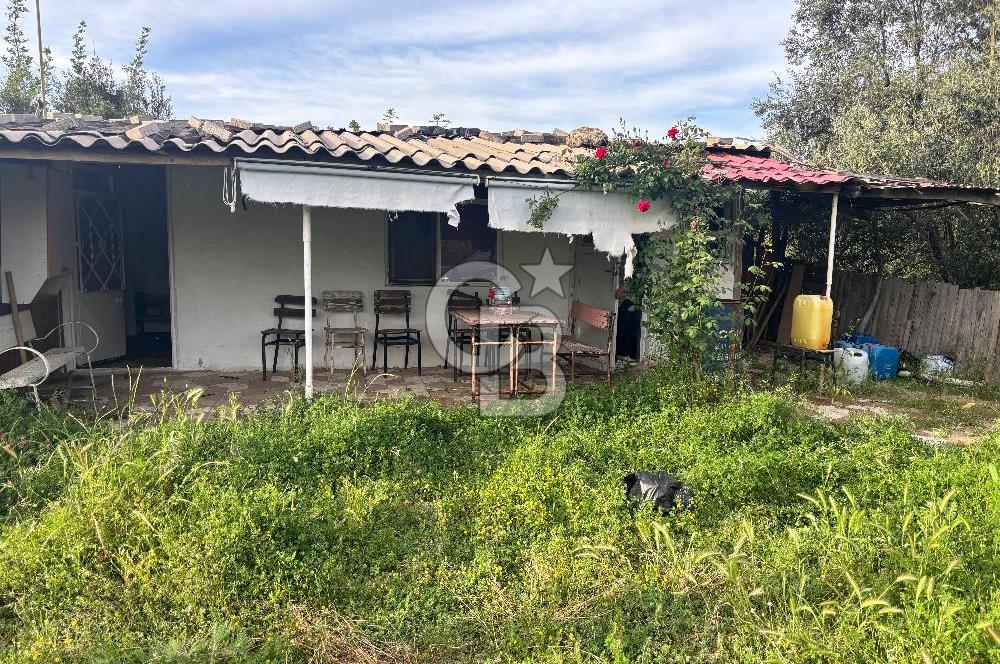 Bayramiç Örenli'de Altyapılı Satılık Yatırımlık Tarla