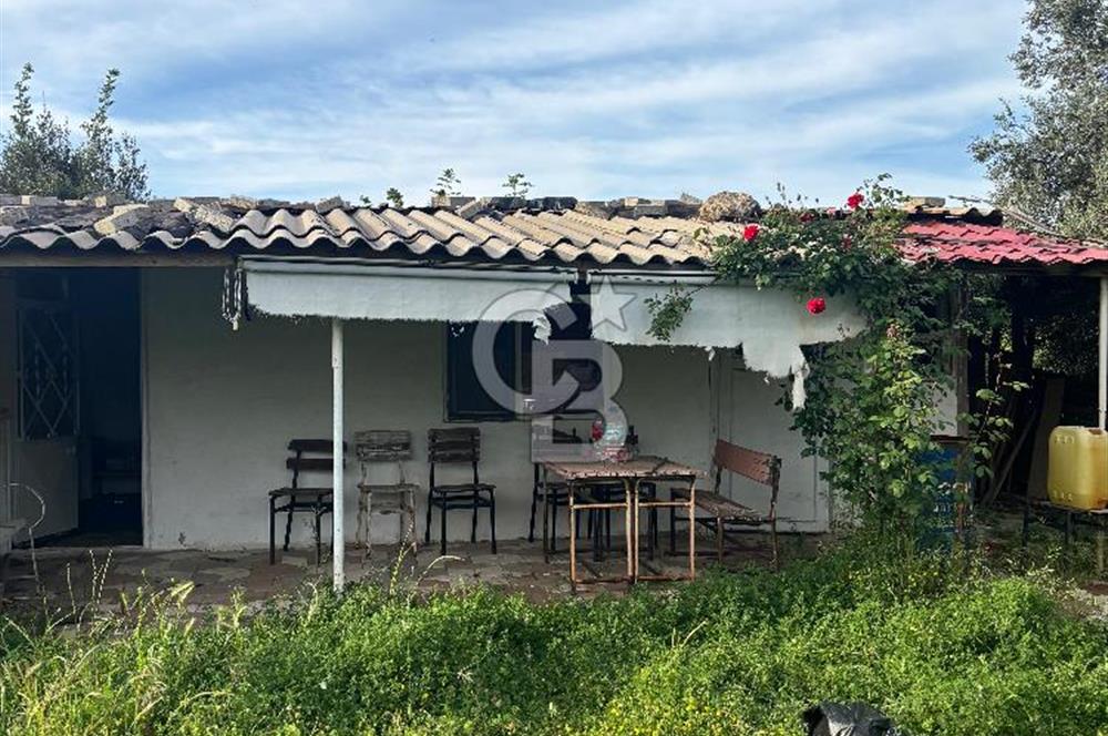 Bayramiç Örenli'de Altyapılı Satılık Yatırımlık Tarla