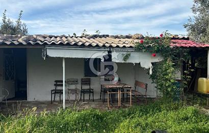 Bayramiç Örenli'de Altyapılı Satılık Yatırımlık Tarla