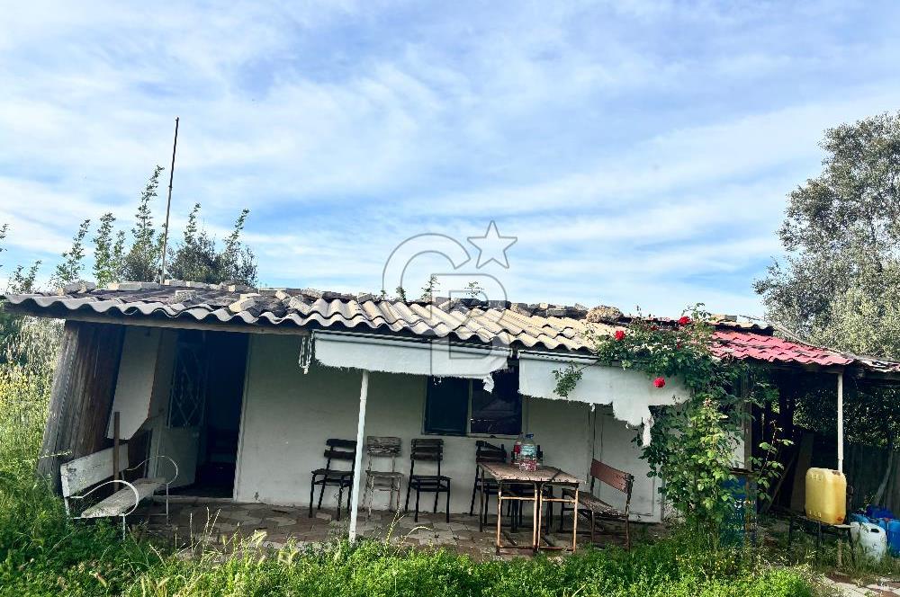 Bayramiç Örenli'de Altyapılı Satılık Yatırımlık Tarla