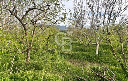 Bayramiç Örenli'de Altyapılı Satılık Yatırımlık Tarla