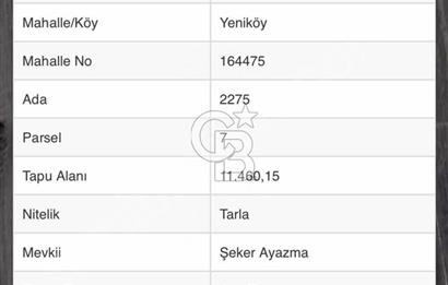 Uzunköprü Yeniköyde Satılık 3.900.000 TL Yatırımlık Tarla