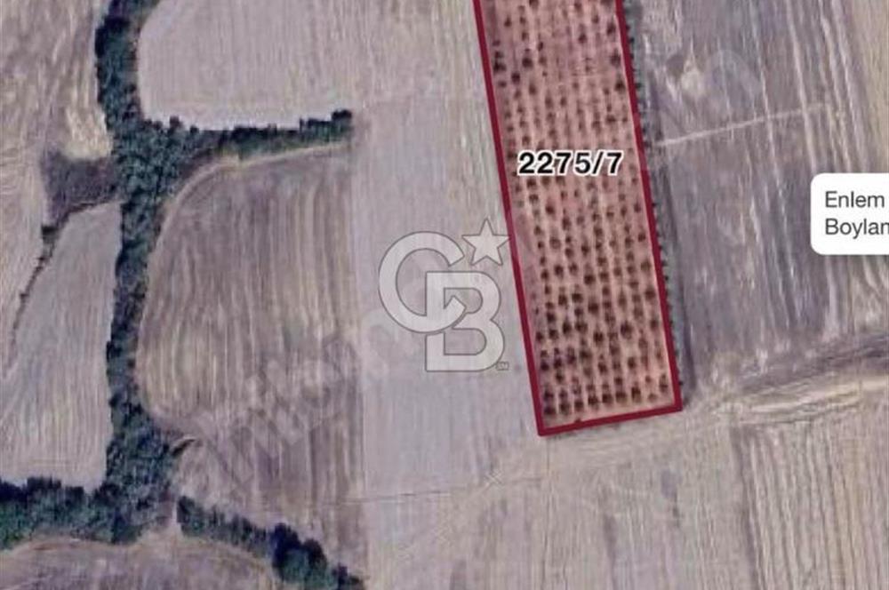 Uzunköprü Yeniköyde Satılık 3.900.000 TL Yatırımlık Tarla