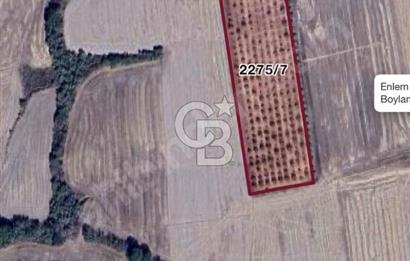 Uzunköprü Yeniköyde Satılık 3.900.000 TL Yatırımlık Tarla