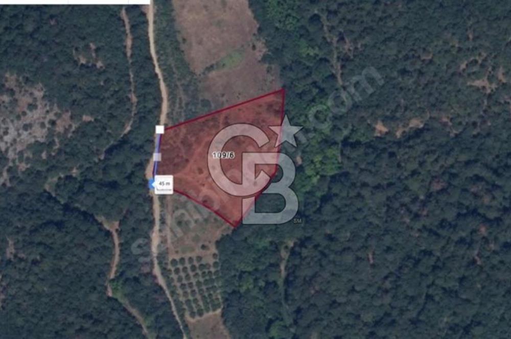 Bayramiç Çırpılar'da Satılık 2.600.000 TL Yatırımlık Tarla