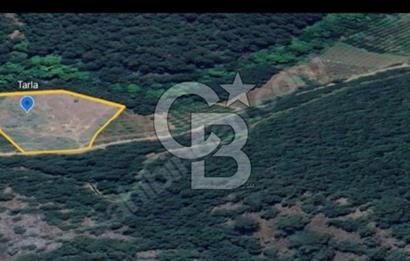 Bayramiç Çırpılar'da Satılık 2.600.000 TL Yatırımlık Tarla