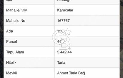 Sindirgi Karacalar'da Satilik 530.000 TL Yatirimlik Tarla