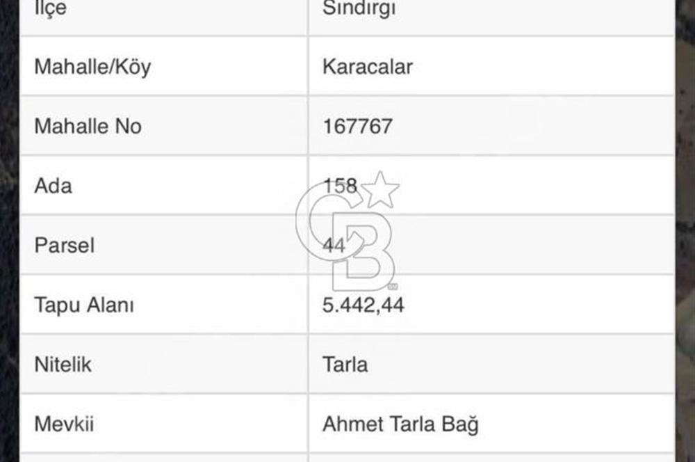 Sindirgi Karacalar'da Satilik 530.000 TL Yatirimlik Tarla