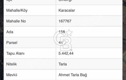 Sindirgi Karacalar'da Satilik 530.000 TL Yatirimlik Tarla