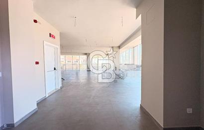 Velibaba Ankara Caddesinde 150 m² Net, Yenilenmiş Plaza ofisi