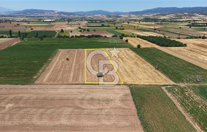 BURSA YENİŞEHİR DEMİRBOĞA'DA 8.757 m² YATIRIMLIK ARAZİ