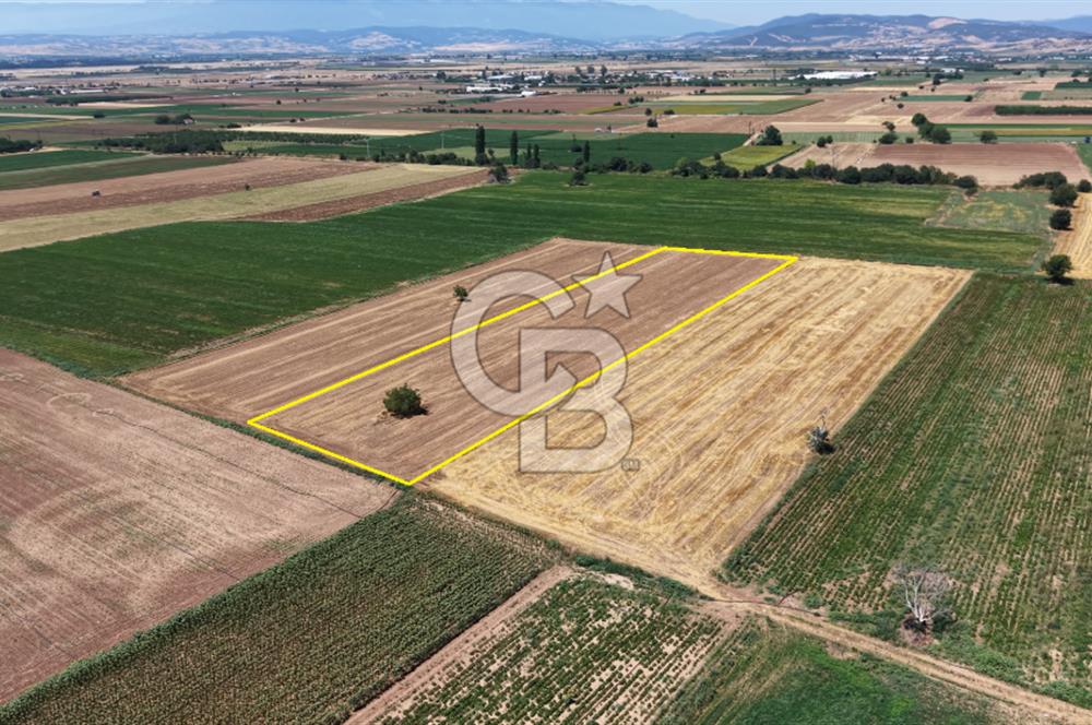 BURSA YENİŞEHİR DEMİRBOĞA'DA 8.757 m² YATIRIMLIK ARAZİ