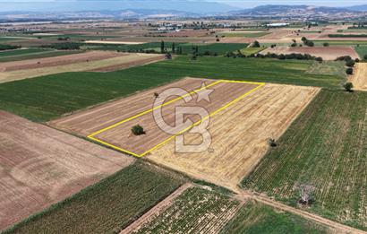 BURSA YENİŞEHİR DEMİRBOĞA'DA 8.757 m² YATIRIMLIK ARAZİ