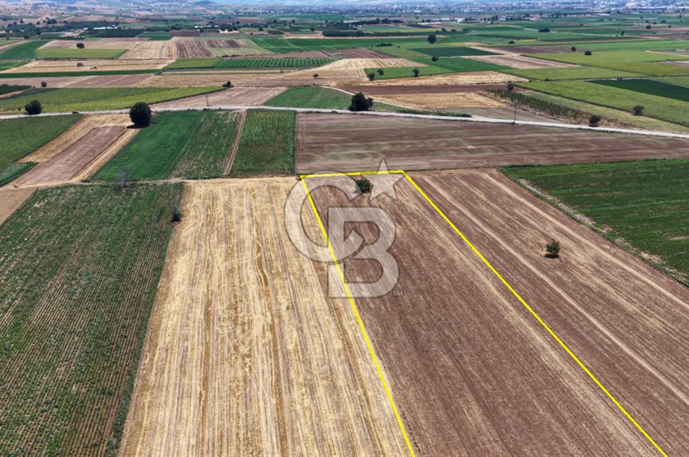 BURSA YENİŞEHİR DEMİRBOĞA'DA 8.757 m² YATIRIMLIK ARAZİ
