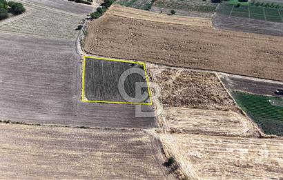 BURSA YENİŞEHİR İNCİRLİ'DE 1.800 m² YATIRIMLIK ARAZİ