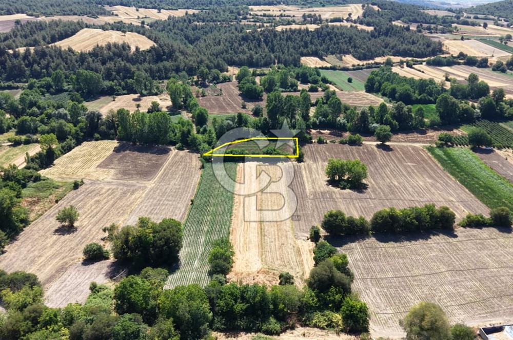 YENİŞEHİR İNCİRLİ'DE KÖY MERKEZİNE 200 M MESAFEDE 2.400 m² ARAZİ