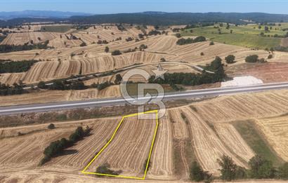 BURSA YENİŞEHİR İNCİRLİ'DE 5.851 m² YATIRIMLIK ARAZİ