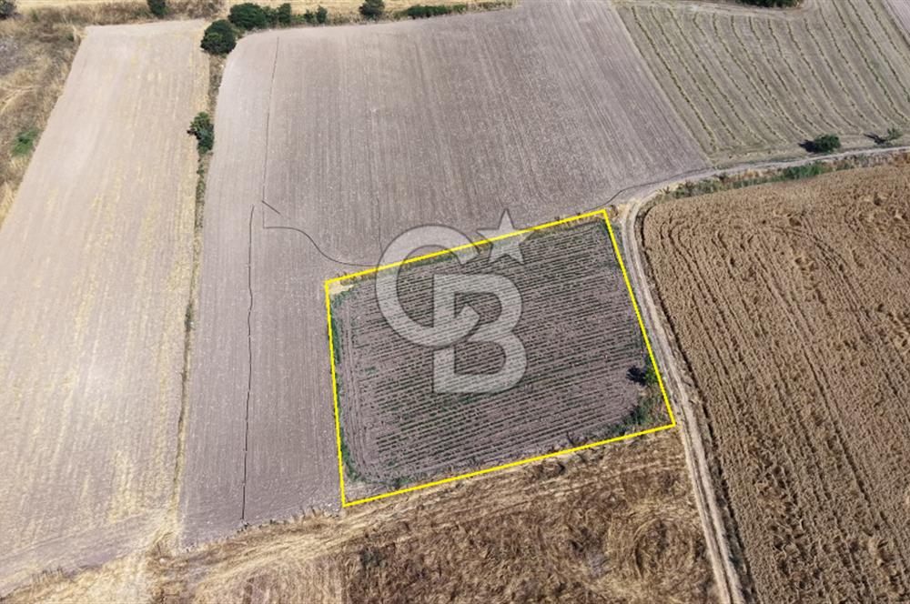 BURSA YENİŞEHİR İNCİRLİ'DE 1.800 m² YATIRIMLIK ARAZİ