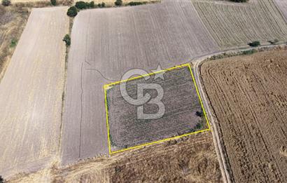 BURSA YENİŞEHİR İNCİRLİ'DE 1.800 m² YATIRIMLIK ARAZİ